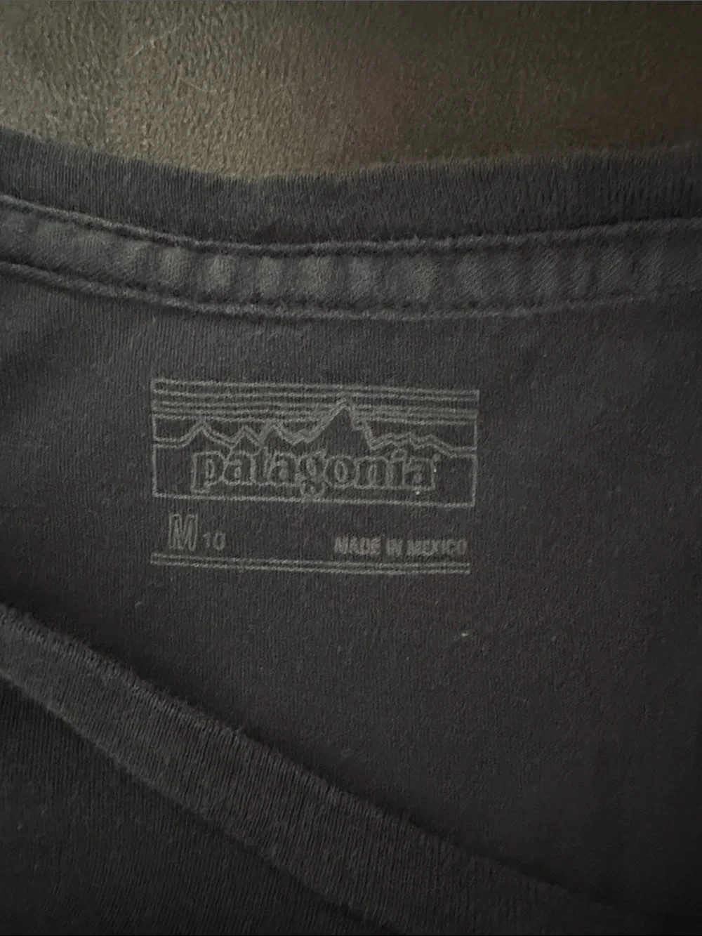 Patagonia Navy Tee with White Mountain Logo
